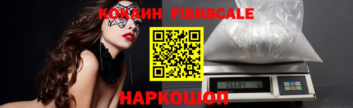 COCAIN Fish Scale  Вход с VPN  Горячий Ключ  Cocaine Fish Scale 