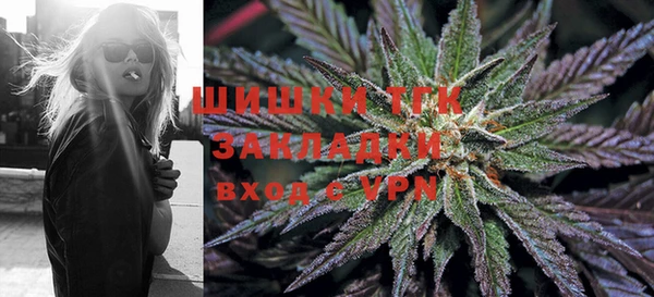 СК Белокуриха