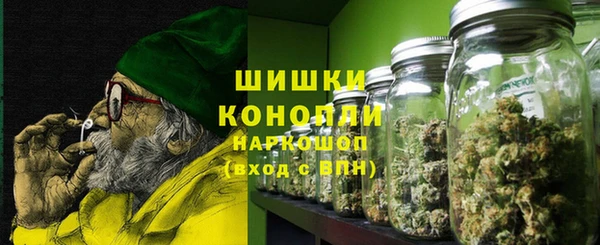 СК Белокуриха