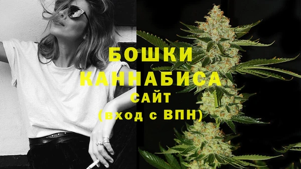 СК Белокуриха