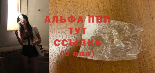 СК Белокуриха