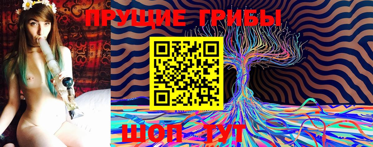 хочу   Псилоцибиновые грибы мухоморы  Вход с VPN  Горячий Ключ 