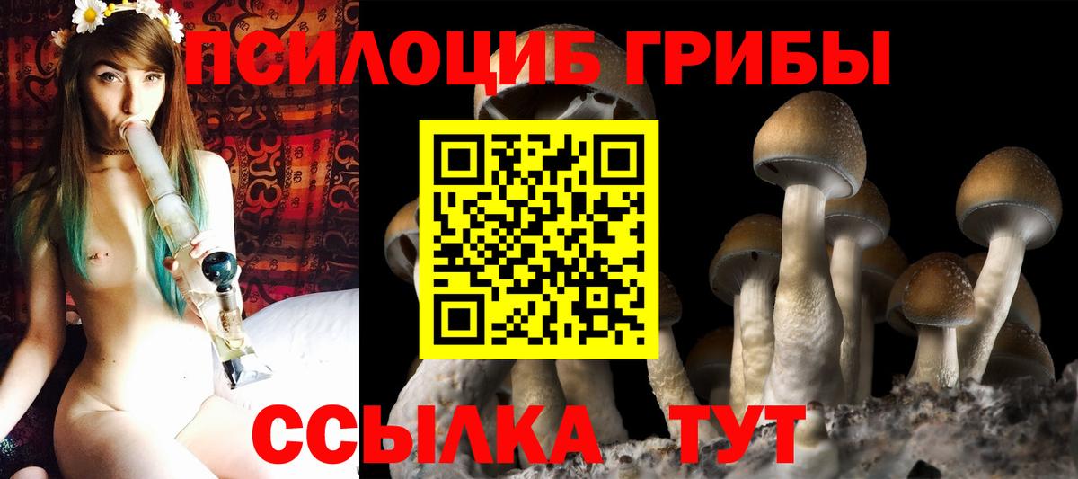Псилоцибиновые грибы GOLDEN TEACHER Горячий Ключ
